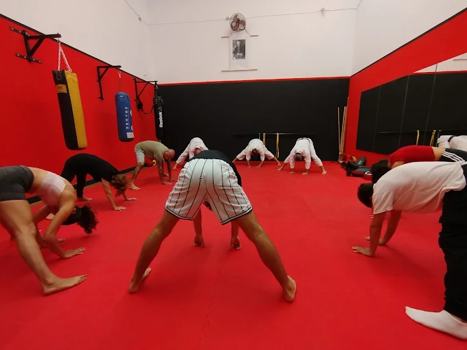 Calentamiento antes del entrenamiento
