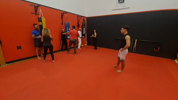Entrenamiento de MMA